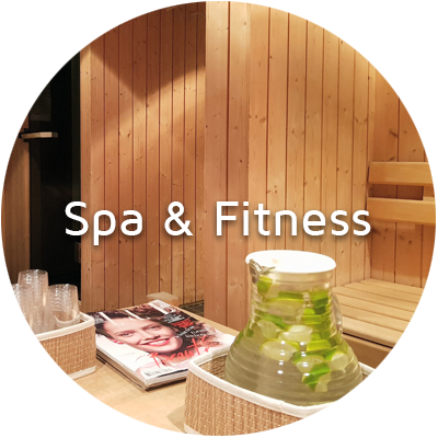 Sauna and Fitness at Nash Airport Hotel, Geneva